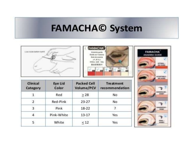 Famacha-system